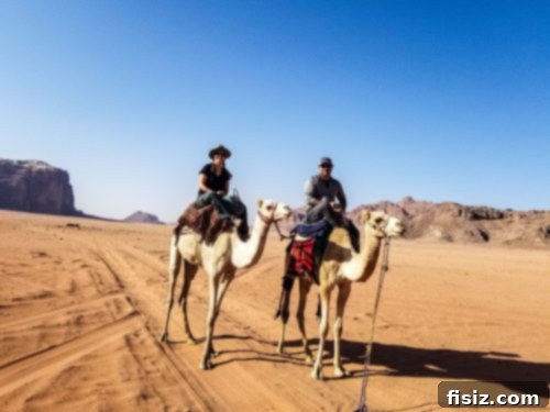Journey to Wadi Rum Your Essential Guide to Sleeping Eating and Exploring the Martian Landscape 25 Camel ride in Wadi Rum desert