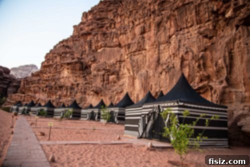 Journey to Wadi Rum Your Essential Guide to Sleeping Eating and Exploring the Martian Landscape 9 Luxury tent with a view of the desert