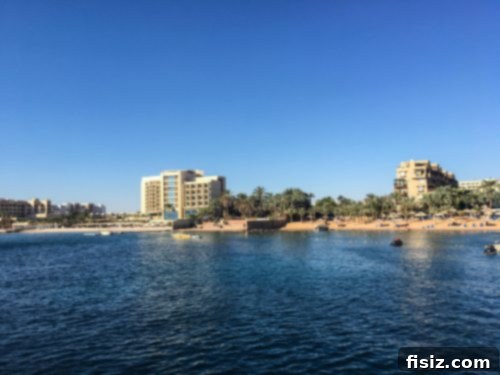 Aqaba Jordan Your Essential Travel Guide 20 Colorful fish swimming near coral reefs in the Red Sea