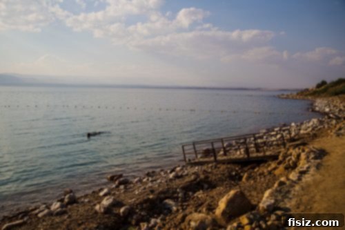 Dead Sea Jordan Accommodations Dining and Attractions 20 Close-up of the Dead Sea water and salt crystals on the shore