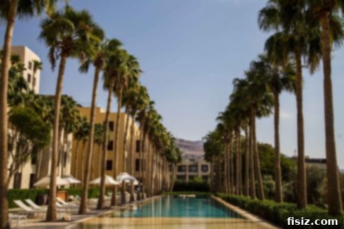 Dead Sea Jordan Accommodations Dining and Attractions 4 A modern, comfortable car interior, suggesting reliable private transportation