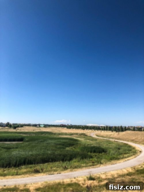 A view of the city skyline and mountains from the event location, highlighting the beautiful scenery.