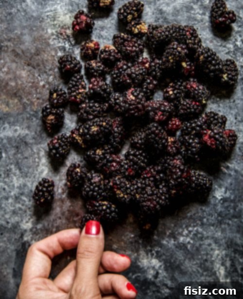 Blissful Blackberry Crumble Squares 4 Online Swimsuit Shopping Woes Before Vacation