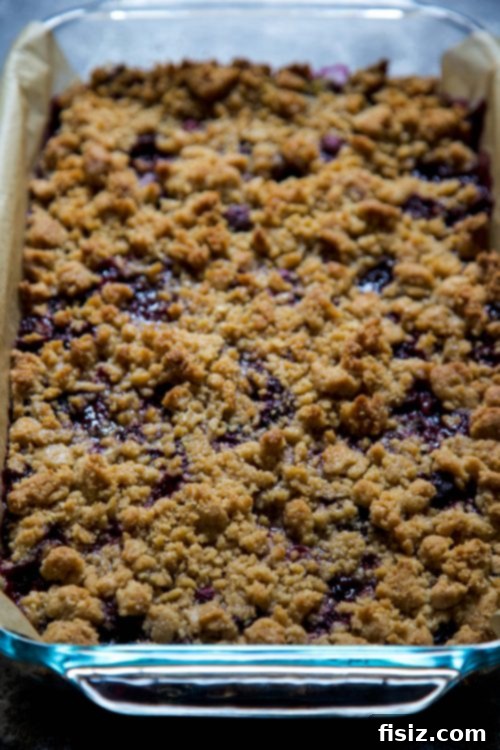 Blissful Blackberry Crumble Squares 5 Embracing Lake Time in the Ozarks