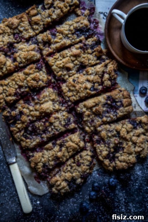 Blissful Blackberry Crumble Squares 6 Harvesting Fresh Blackberries for Baking