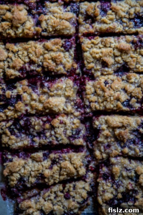Blissful Blackberry Crumble Squares 7 Delicious Blackberry Bliss Crumble Bars
