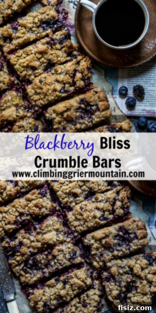 Blissful Blackberry Crumble Squares 9 Perfectly Sliced Blackberry Bliss Crumble Bars