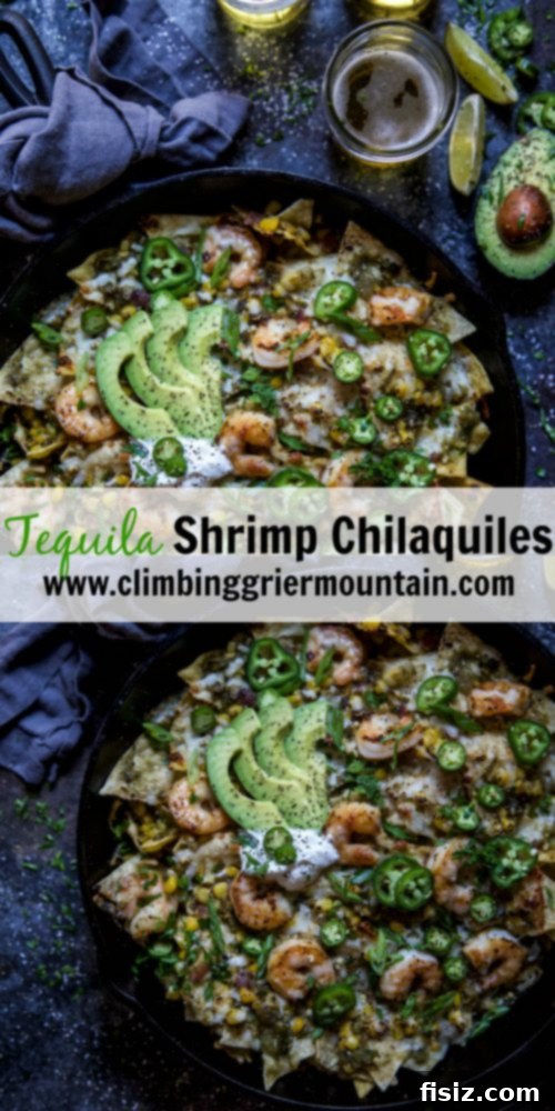 Zesty Tequila Shrimp Chilaquiles 8 Final plated Tequila Shrimp Chilaquiles garnished with avocado and cilantro