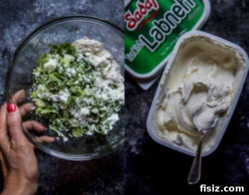 Creamy Labneh and Scallion Dip 4 Easy Labneh Scallion Dip with vibrant green scallions