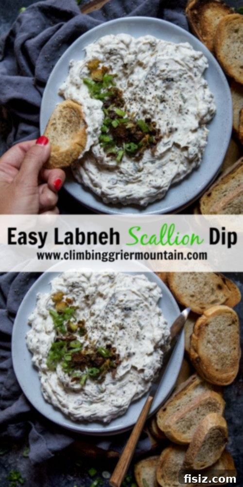 Creamy Labneh and Scallion Dip 8 Finished Easy Labneh Scallion Dip with fresh garnishes and bread