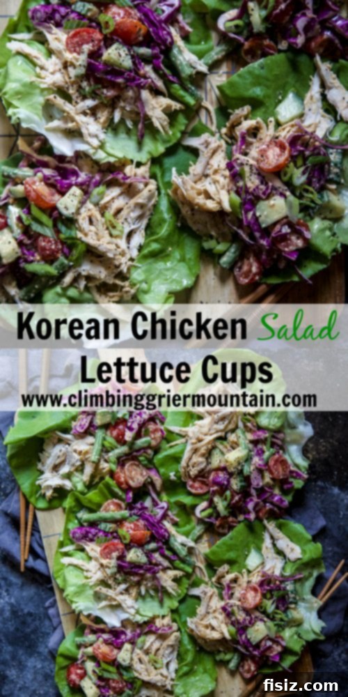 Gochujang Chicken Lettuce Wraps 9 Korean Chicken Salad Lettuce Cups, close-up