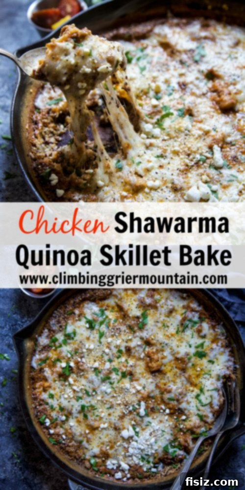 One-Pan Shawarma Chicken Quinoa Bake 7 A generous serving of Chicken Shawarma Quinoa Skillet Bake on a plate