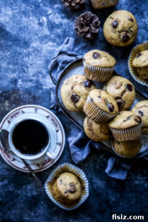 Decadent Dark Chocolate Pumpkin Muffins 3 Ultimate Dark Chocolate Pumpkin Muffins
