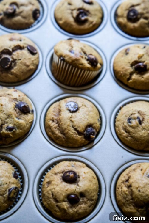 Decadent Dark Chocolate Pumpkin Muffins 4 Ultimate Dark Chocolate Pumpkin Muffins