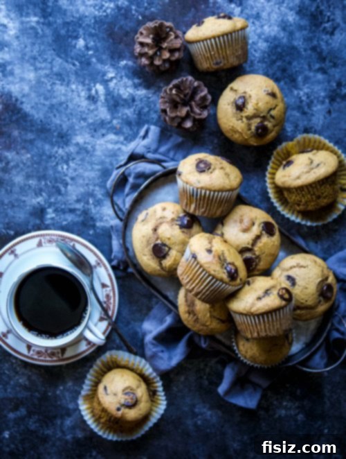 Decadent Dark Chocolate Pumpkin Muffins 5 Ultimate Dark Chocolate Pumpkin Muffins