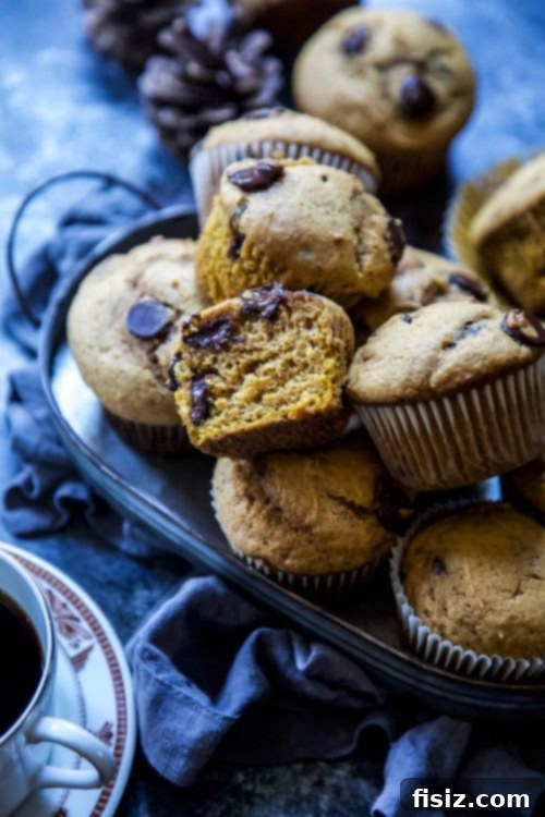 Decadent Dark Chocolate Pumpkin Muffins 6 Ultimate Dark Chocolate Pumpkin Muffins