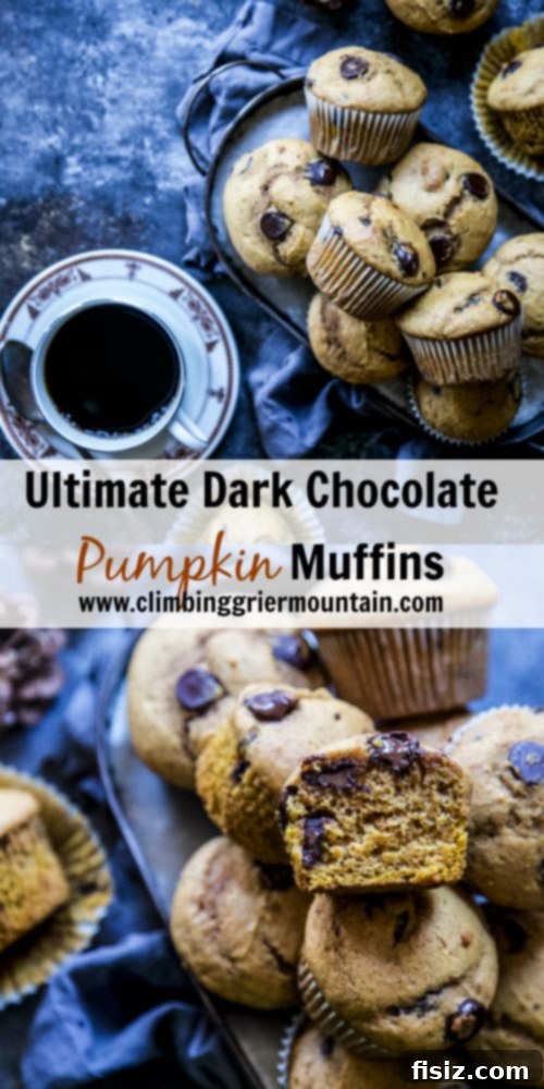 Decadent Dark Chocolate Pumpkin Muffins 8 Ultimate Dark Chocolate Pumpkin Muffins