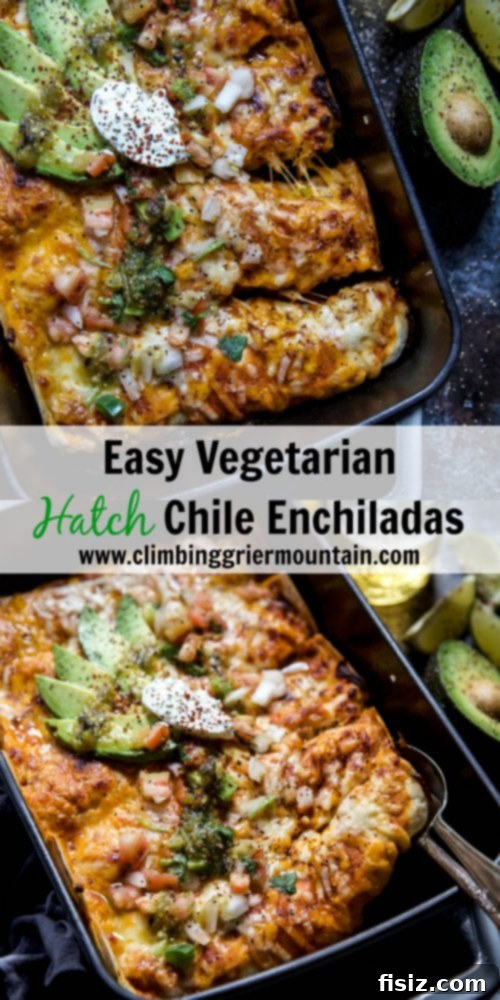 Effortless Hatch Chile Veggie Enchiladas 7 A large platter of freshly baked Vegetarian Hatch Chile Enchiladas, ready to serve