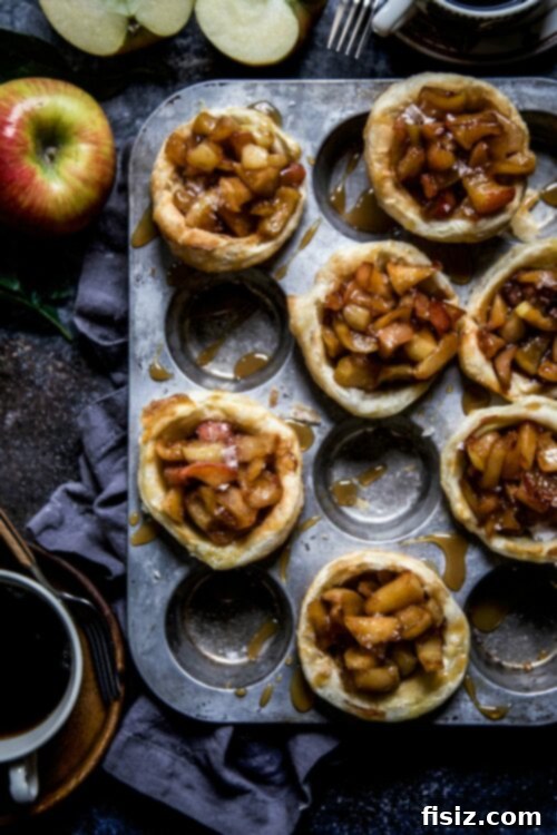 Golden Churro Apple Pies with Salted Caramel Drizzle 2 Delicious Churro Apple Pies with Salted Caramel
