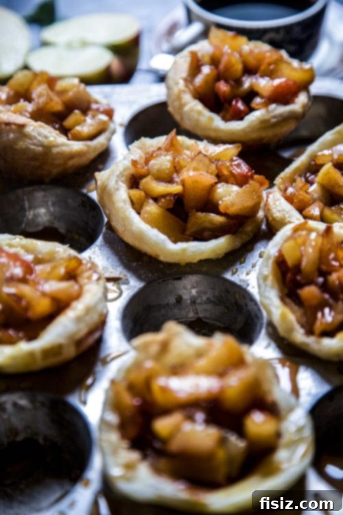 Golden Churro Apple Pies with Salted Caramel Drizzle 6 Churro Apple Pies with Salted Caramel