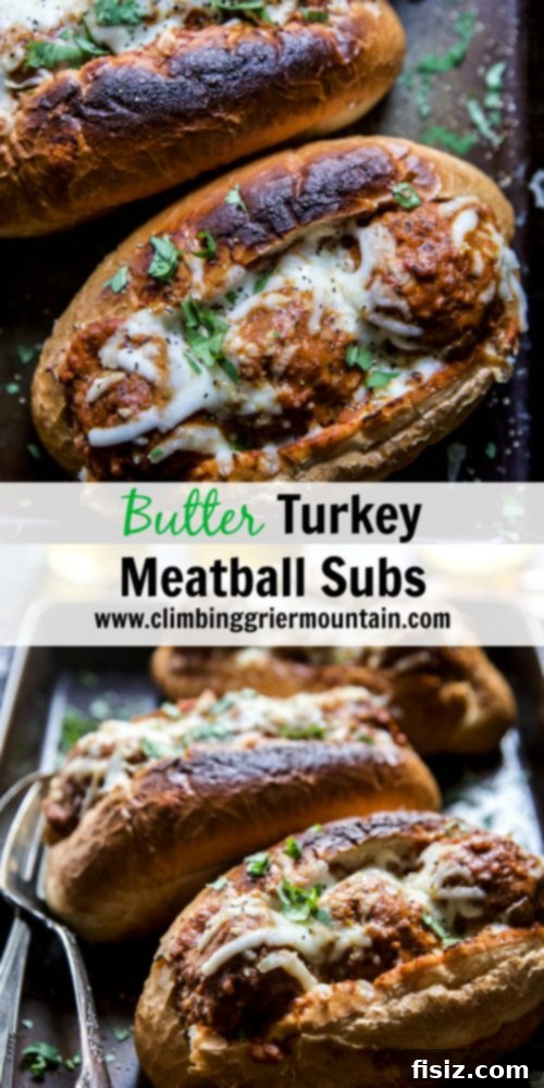 Loaded Buttery Turkey Meatball Subs 8 Platter of Gourmet Butter Turkey Meatball Subs