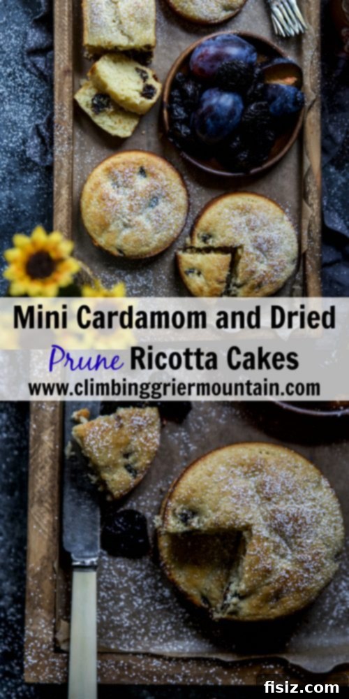 Delicate Cardamom Prune Ricotta Bites 18 Mini Cardamom and Dried Prune Ricotta Cakes