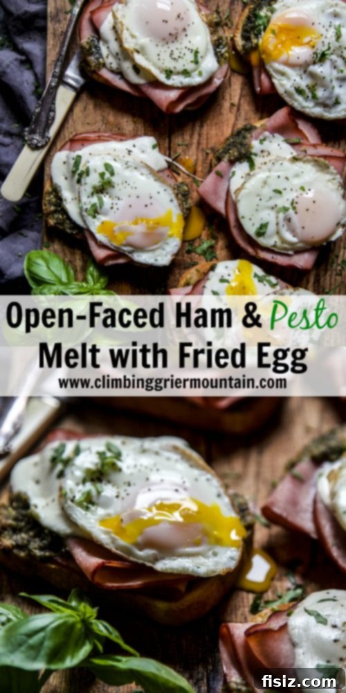 Cheesy Ham, Pesto & Fried Egg Toast 8 Plated Open Faced Ham and Pesto Melt with Fried Egg, garnished with basil