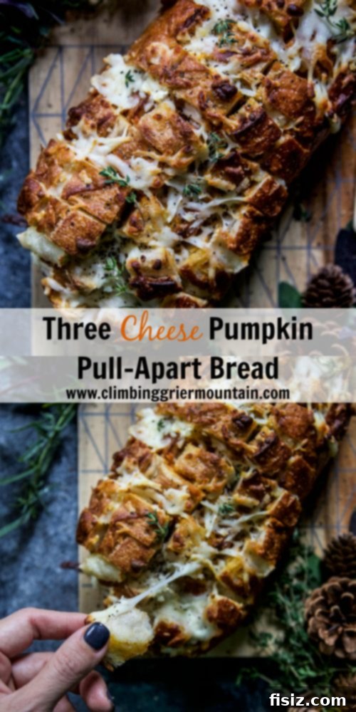 Golden Pumpkin Triple Cheese Tear-and-Share Loaf 8 Three Cheese Pumpkin Pull-Apart Bread
