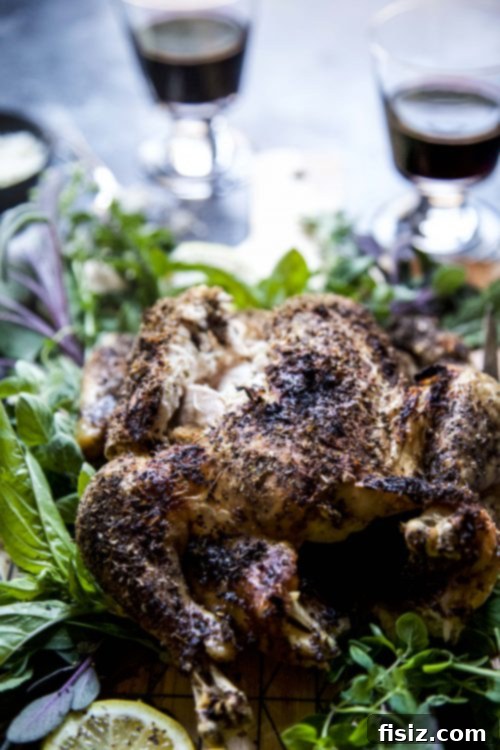 Tender Mediterranean Slow Cooker Whole Chicken 6 Plated Slow Cooker Mediterranean Whole Chicken with sides