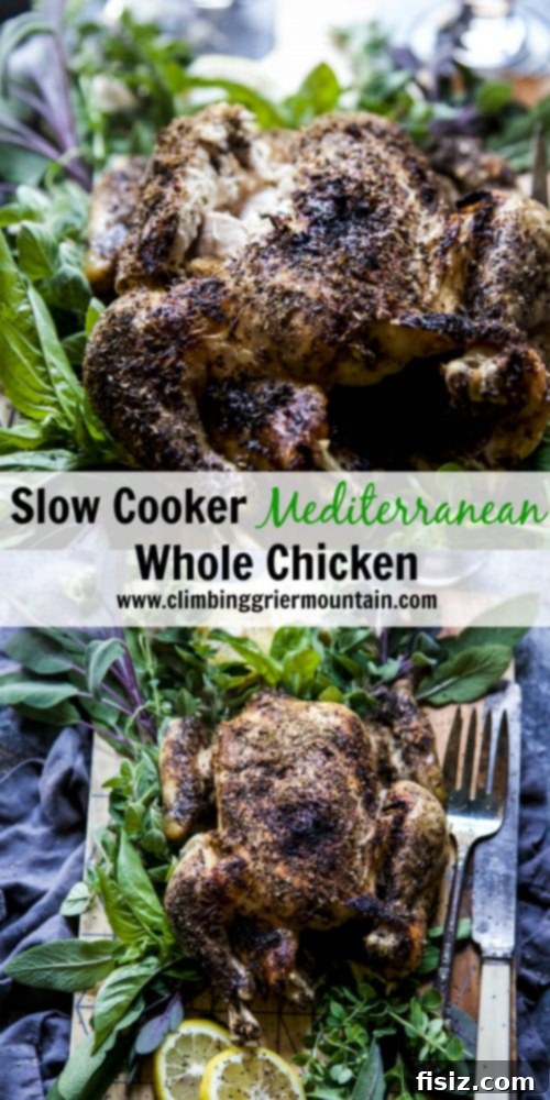Tender Mediterranean Slow Cooker Whole Chicken 8 Serving of Slow Cooker Mediterranean Whole Chicken with lemon and herbs
