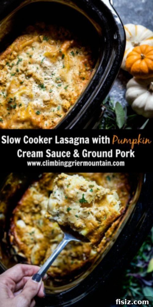 Effortless Slow Cooker Lasagna 8 Delicious Slow Cooker Lasagna slices