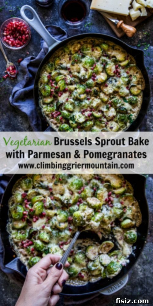 A stunning spread of Thanksgiving dishes, with the Vegetarian Brussels Sprout Bake with Parmesan and Pomegranates as a highlight.