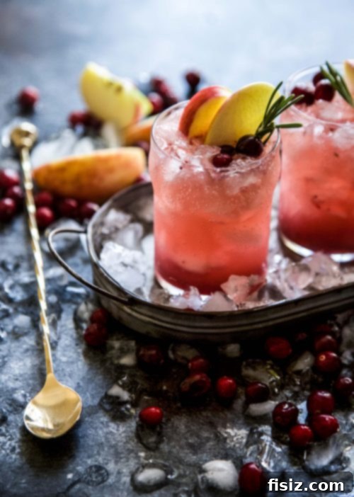 Bourbon Cranberry Bliss Sauce and Cider Smash 2 Homemade Cranberry Sauce