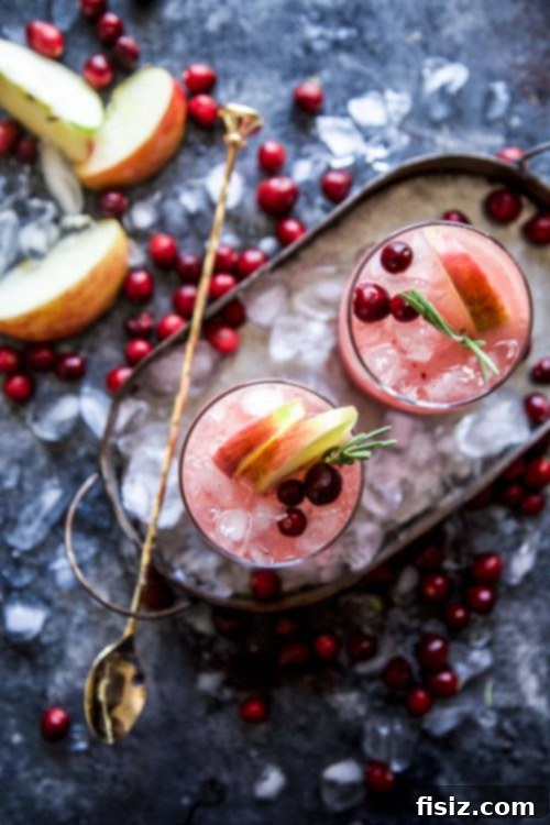 Bourbon Cranberry Bliss Sauce and Cider Smash 5 img 25099 4