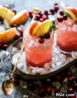Bourbon Cranberry Bliss Sauce and Cider Smash 6 img 25099 5