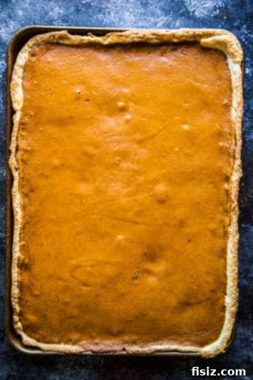 close-up of baked pumpkin pie on a large sheet pan, showcasing its smooth, golden-brown surface before slicing