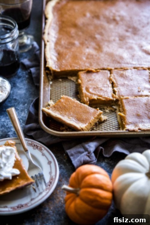 top-down view of perfectly cut squares of pumpkin pie bars on a white serving platter, ready to be enjoyed