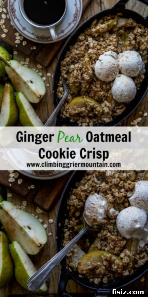 Oatmeal Cookie Ginger Pear Crisp 9 Close-up of Ginger Pear Oatmeal Cookie Crisp