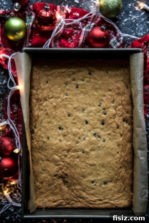 Delightful Peppermint Chocolate Chip Bars 2 Hand holding a warm DoubleTree chocolate chip cookie