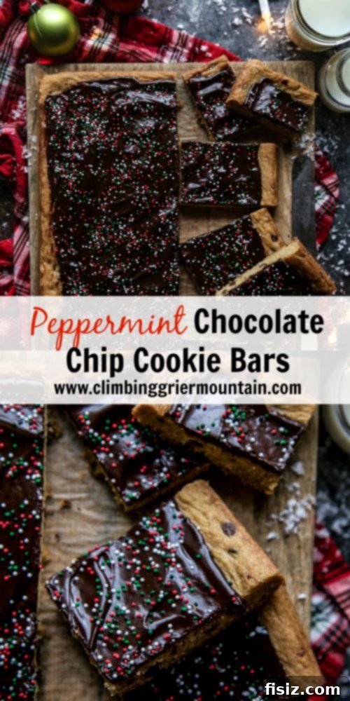 Indulge in the world of Peppermint Chocolate Chip Cookie Bars, where we explore delightful recipes, baking tips, and more to enhance your culinary skills and satisfy your cravings for festive treats. Close-up of a stack of Peppermint Chocolate Chip Cookie Bars garnished with candy cane bits