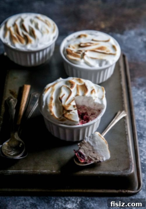 Modern Comfort Cooking Turns One Join Our Giveaway Celebration 17 Cranberry Gingerbread Baked Alaska.