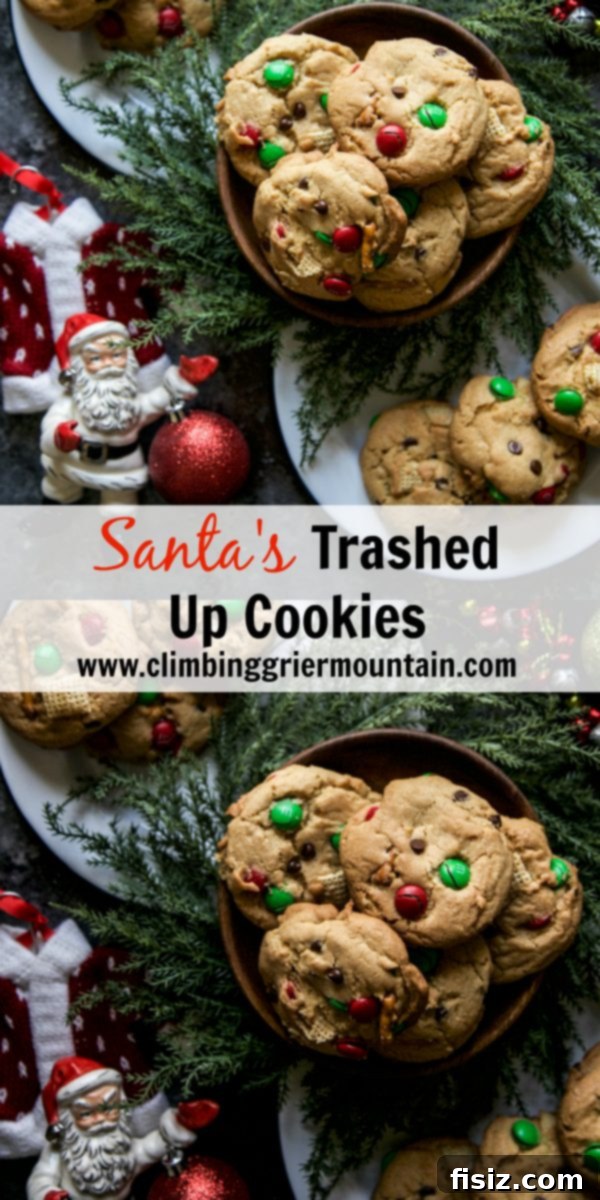 Santa's Cookie Catastrophe 8 Close-up of a single Santa's Trashed Up Cookie with a bite taken out, revealing the delightful interior mix of ingredients