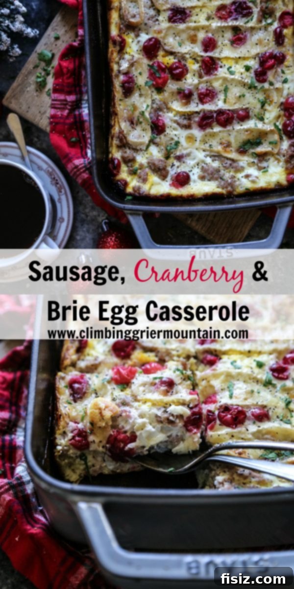 Sausage Cranberry and Brie Breakfast Strata 8 A slice of Sausage, Cranberry, and Brie Egg Casserole, showing the layers of bread, eggs, and melted cheese, ready to be eaten.