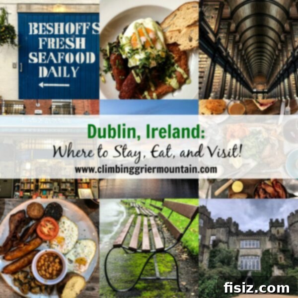 The Ultimate Dublin Guide Stay Dine and Explore Ireland's Capital 2 Panoramic view of Dublin city with historical buildings and a bustling street scene
