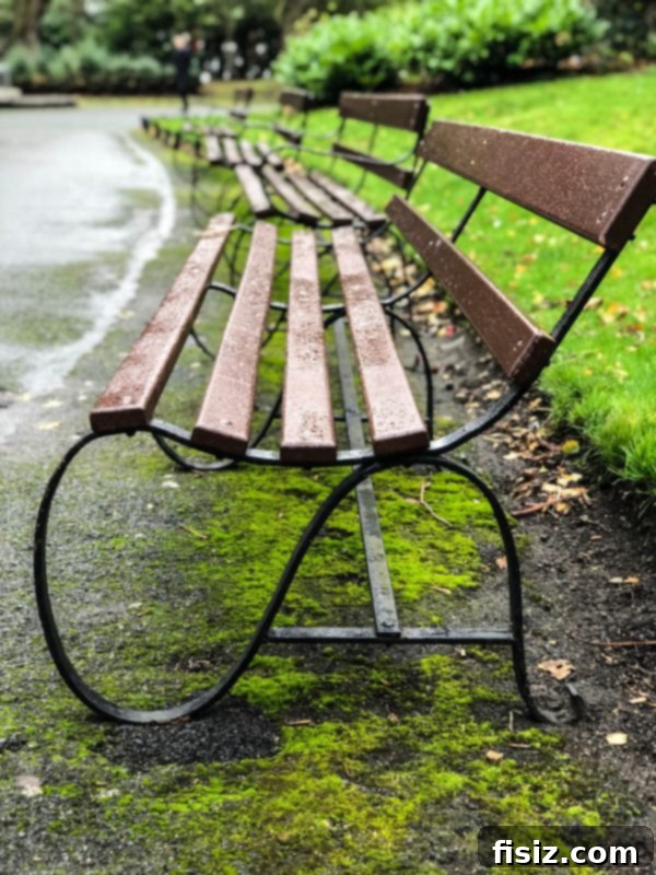 The Ultimate Dublin Guide Stay Dine and Explore Ireland's Capital 32 Beautiful green landscape of St. Stephen's Green park in Dublin