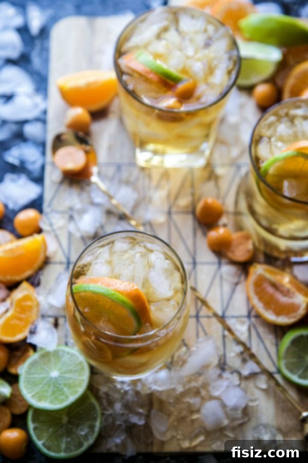 Sun-Kissed Ginger Julep 6 Two glasses of Orange Ginger Julep ready to serve
