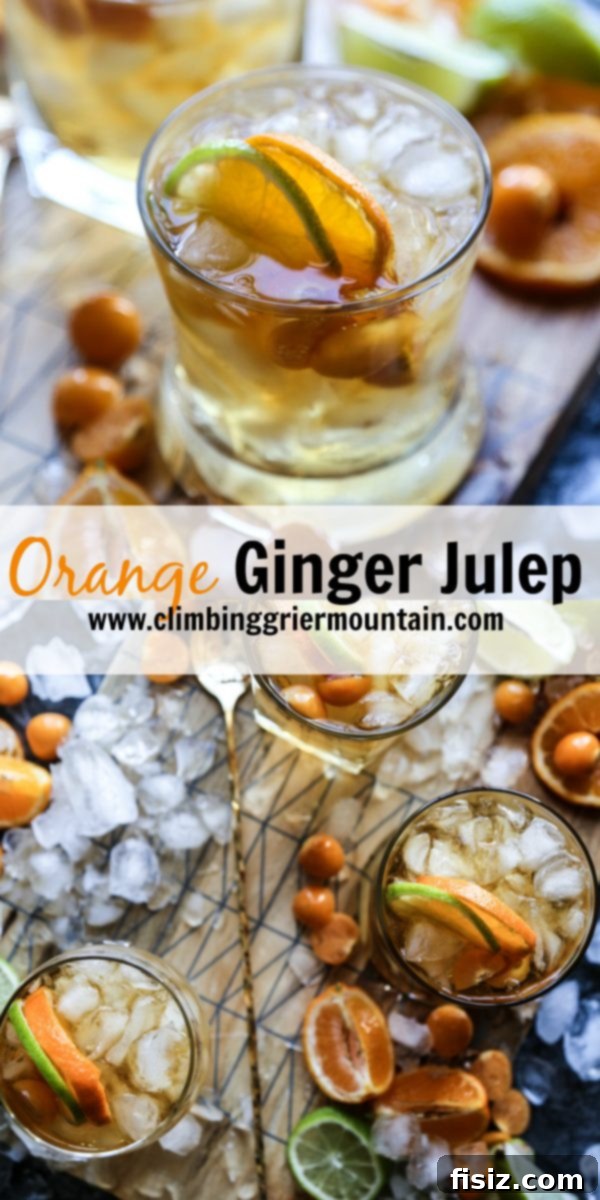 Sun-Kissed Ginger Julep 8 Orange Ginger Julep with citrus garnish