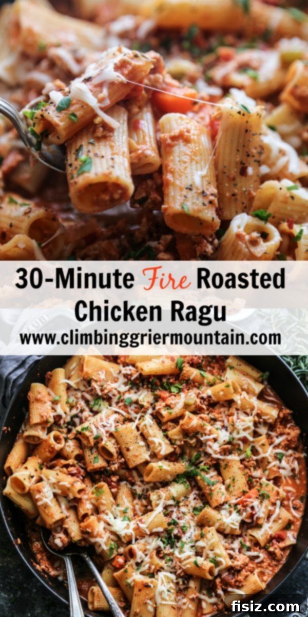Quick Smoky Chicken Ragu 8 30-Minute Fire Roasted Chicken Ragu