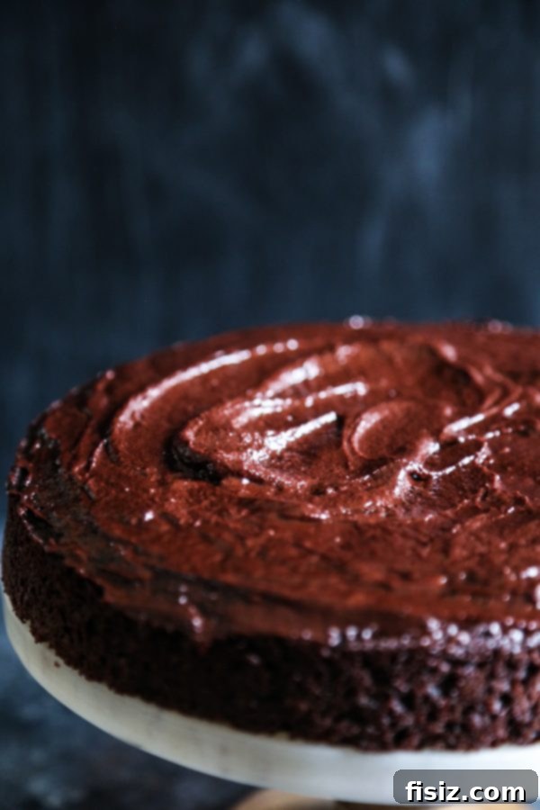 Decadent Dark Chocolate Cake with Fluffy Marshmallow Frosting 4 Ultimate Dark Chocolate Cake adorned with celebratory sprinkles