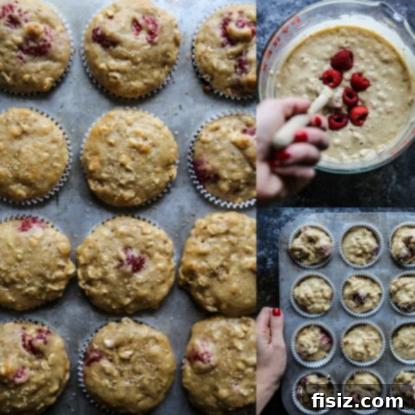 Golden Raspberry Oat Muffins with Honey Butter 4 Freshly baked Raspberry Oat Muffins cooling on a wire rack